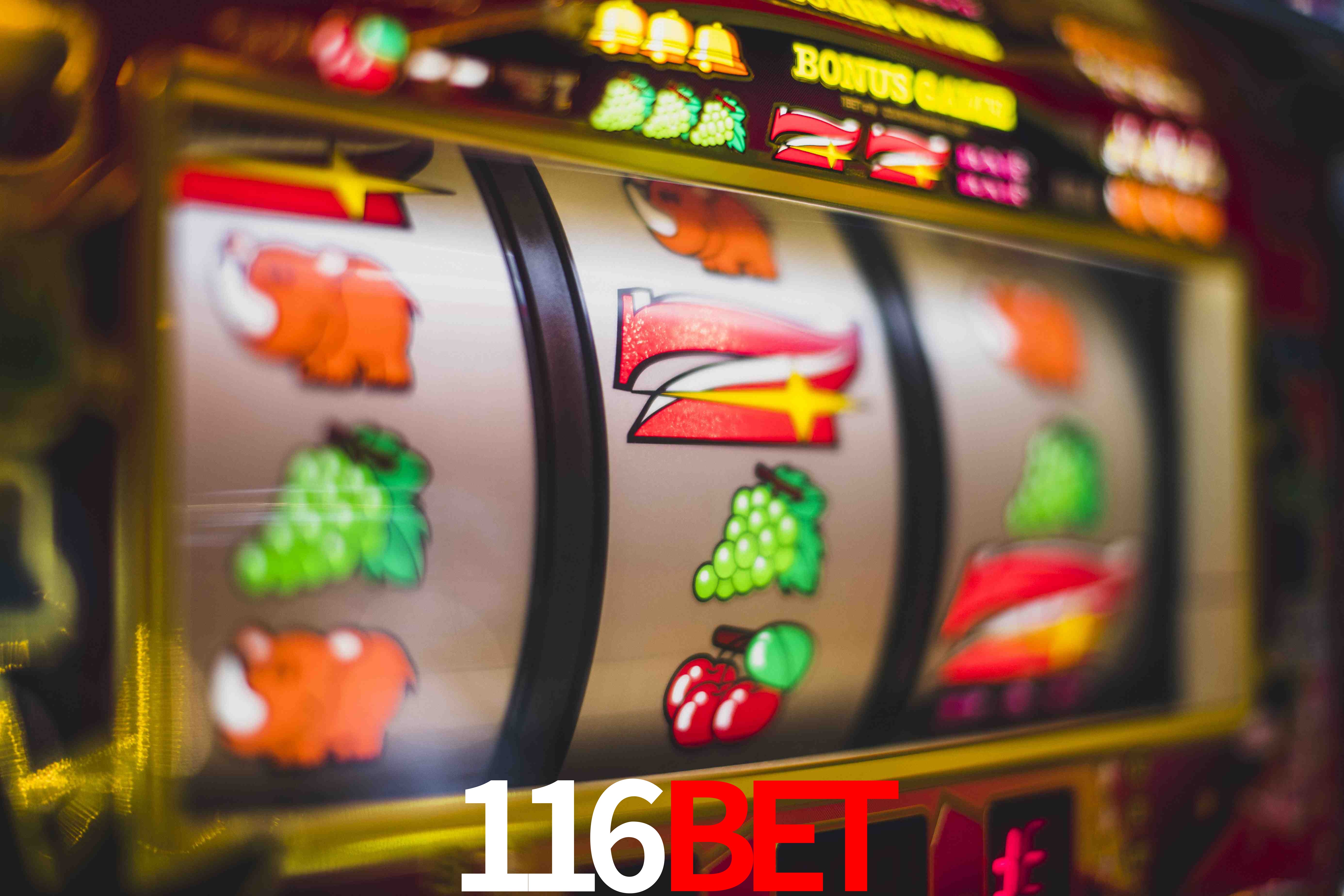 Live Casino 116Bet